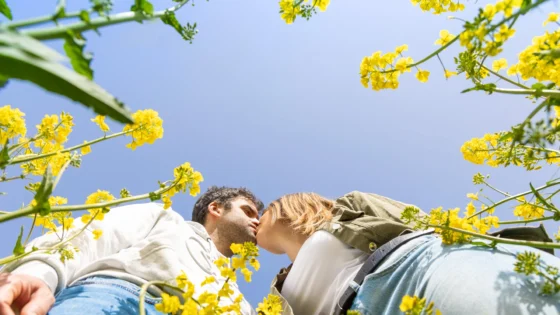 Fotografía de parejas en Soria