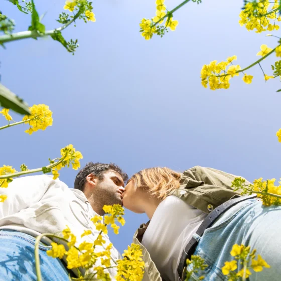 Fotografía de parejas en Soria